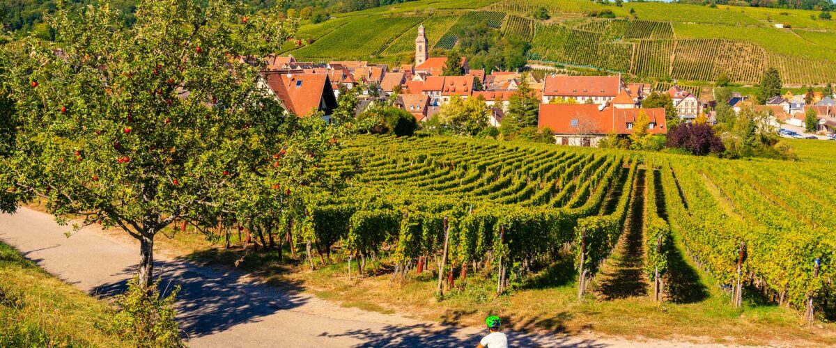 GITE_ET_SPA_TOURISME_VALLEE_DE_KAYSERSBERG_7 1200X500 | Eden'Roc Tourisme : Visitez et découvrez le golf d’Ammerschwihr, la vallée de Kaysersberg ainsi que la station de ski du Lac Blanc à côté de Colmar Sélestat 0