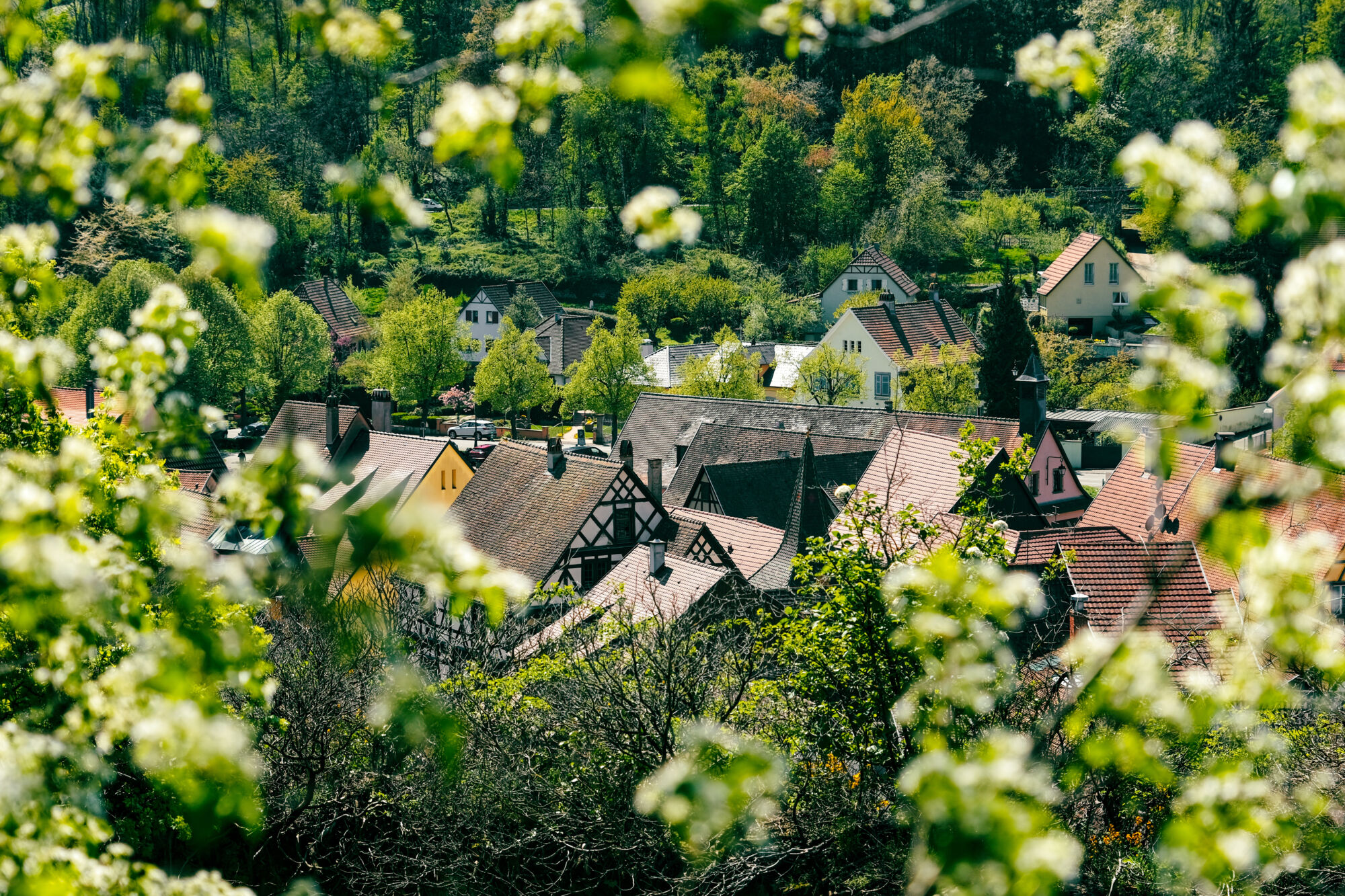 KASYSESBERG NATURE | Eden'Roc Eden’Roc vous accueille dans son gîte et spa à Labaroche près de Kaysersberg ! Saint-Dié-des-Vosges
