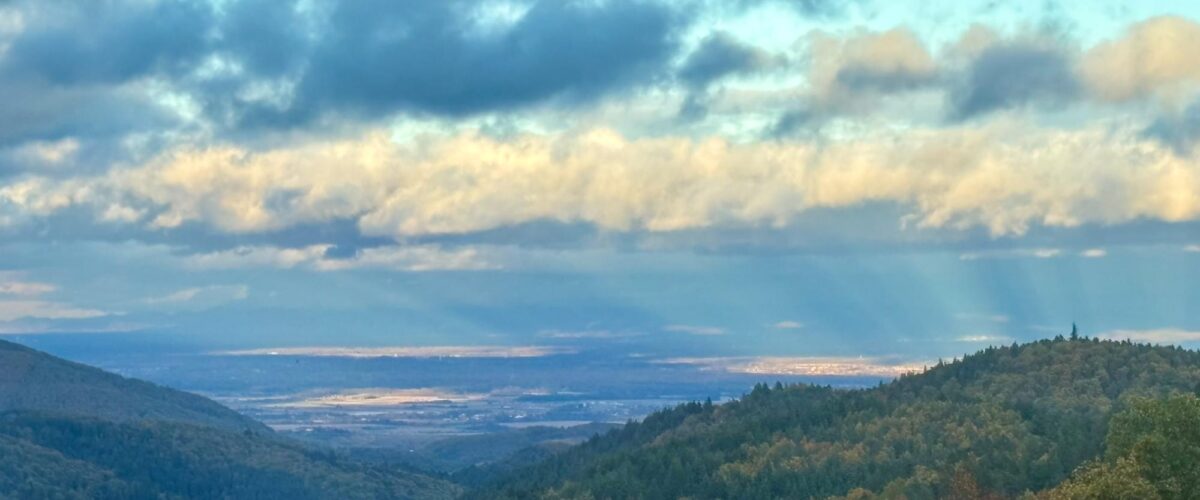 EXTERIEUR GITE SPA KAYSERSBERG EDEN ROCK 3 1200X500 | Eden'Roc À propos d’Eden’Roc, gîtes et spas près de Kaysersberg Wintzenheim 5