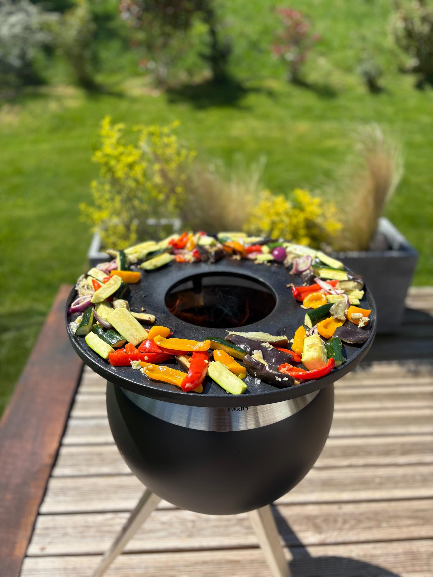 EXTERIEUR GITE SPA KAYSERSBERG EDEN ROCK 5 | Eden'Roc Location de gîtes à Labaroche près de Colmar : les beaux jours arrivent pour les barbecues à Eden’roc Ensisheim 2